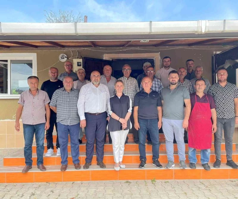 Milletvekili Zeybek: 