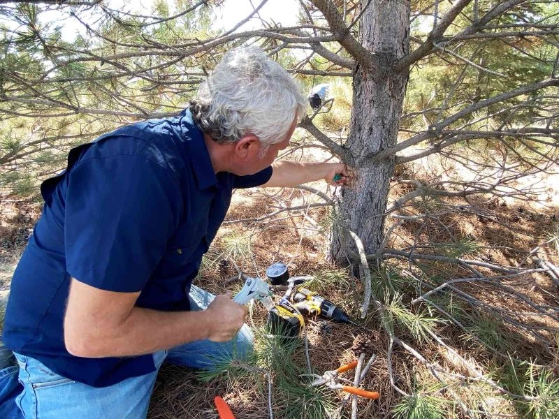 Tuz Gölü havzasında ayakta kalacak ağaç türleri belirlenecek
