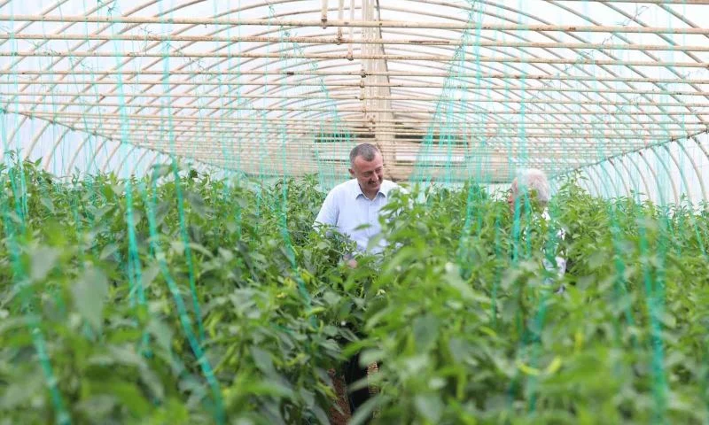 Başkan Büyükakın: “Yıl sonuna kadar tarıma verilen destek 255 milyon TL’yi bulacak 