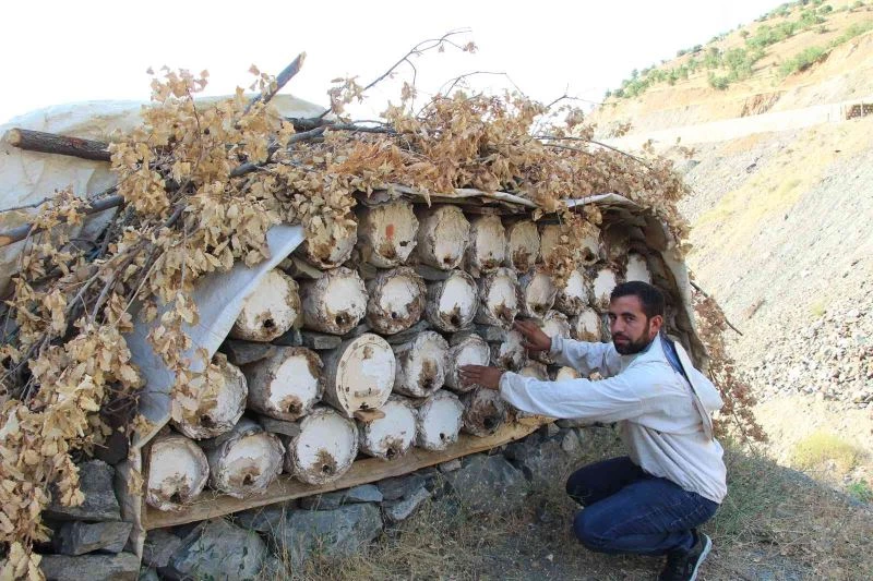 Yaylalarda huzur ortamının oluşmasıyla köylüler bal üretiyor
