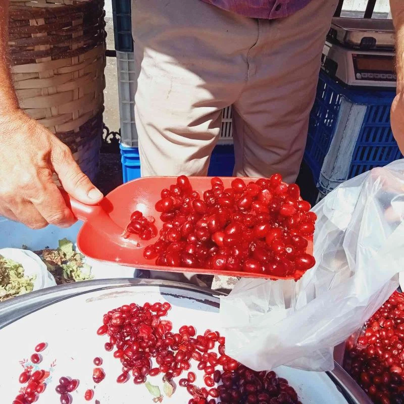 Orman ve dere yataklarından toplanan kızılcık, tezgahlarda yerini aldı
