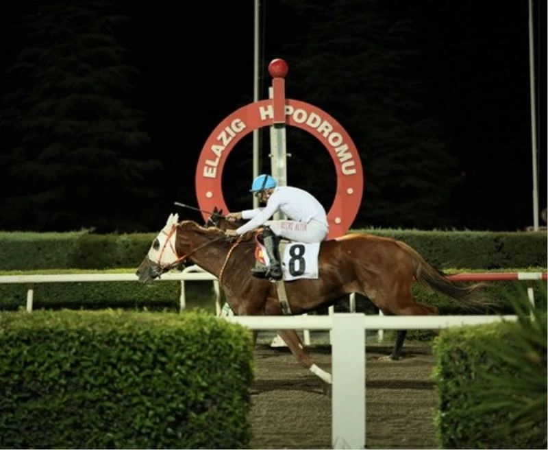 Elazığ Belediye Başkanlığı Koşusu Silver Cloud’un
