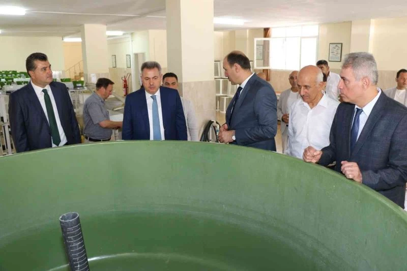 Göl ve göletlere 10 milyon yavru balık
