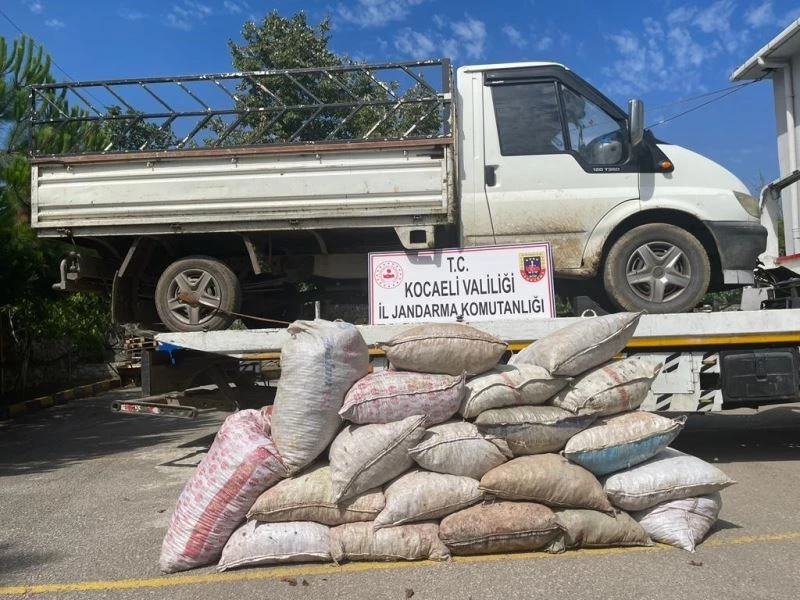 Fındık çalarken suçüstü yakalandılar
