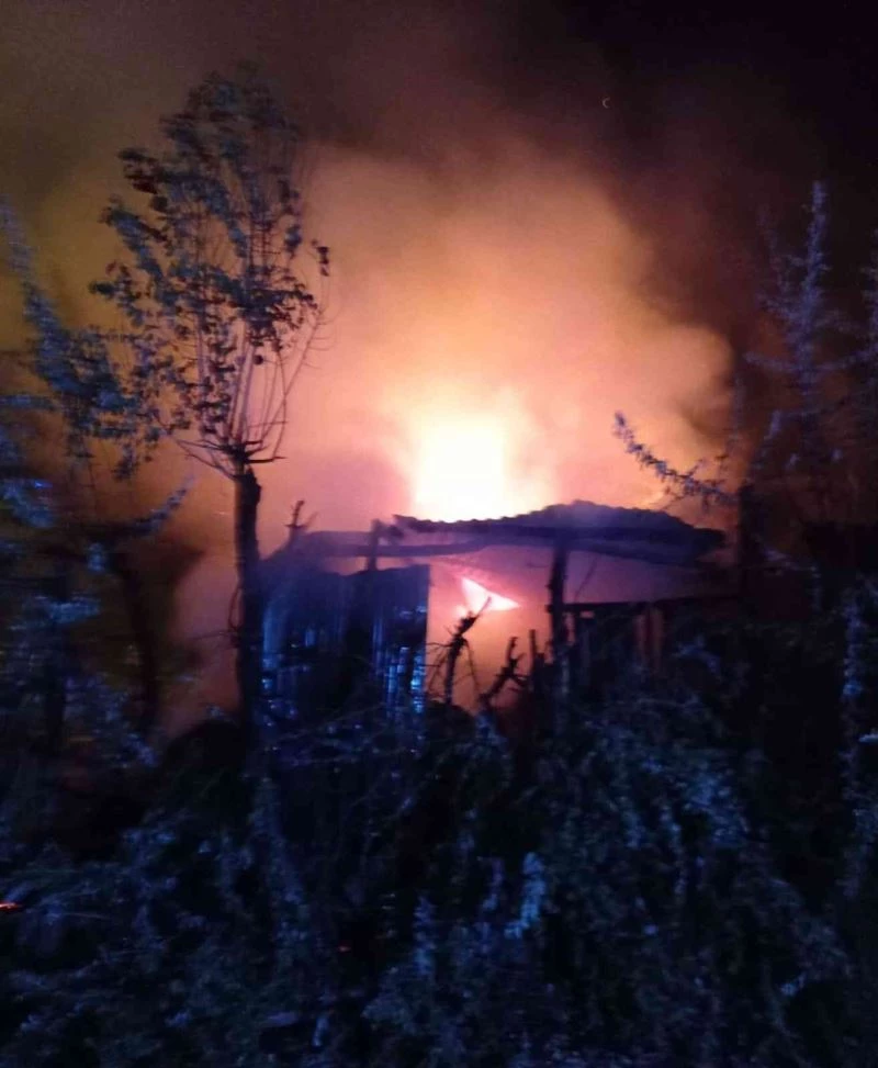 Van’da odunluk yangını
