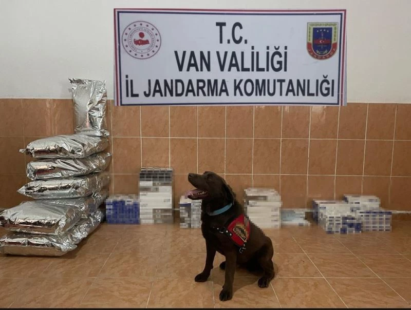 Van’da iki ayda 12 bin 438 paket kaçak sigara ele geçirildi
