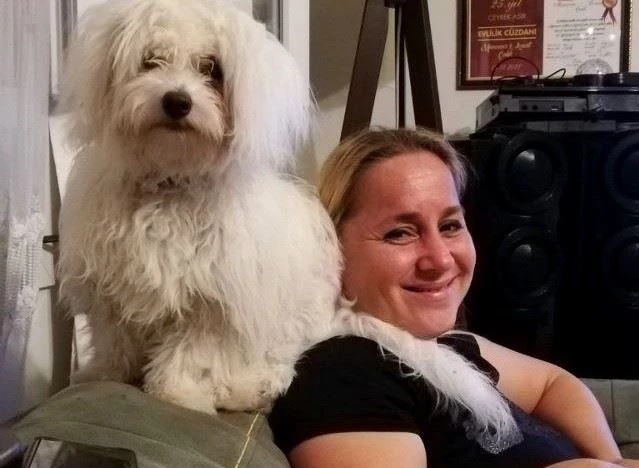 Evladım dediği Peynir