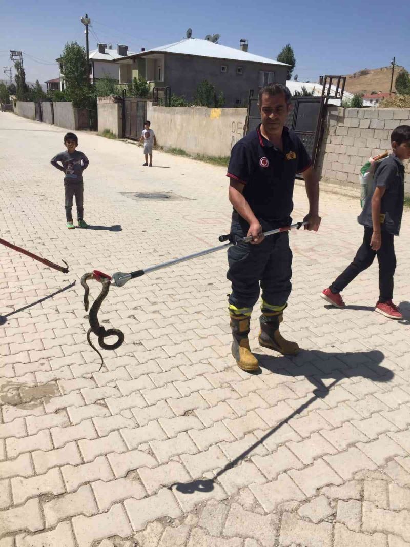 Sokak ortasındaki yılanı itfaiye ekipleri yakaladı
