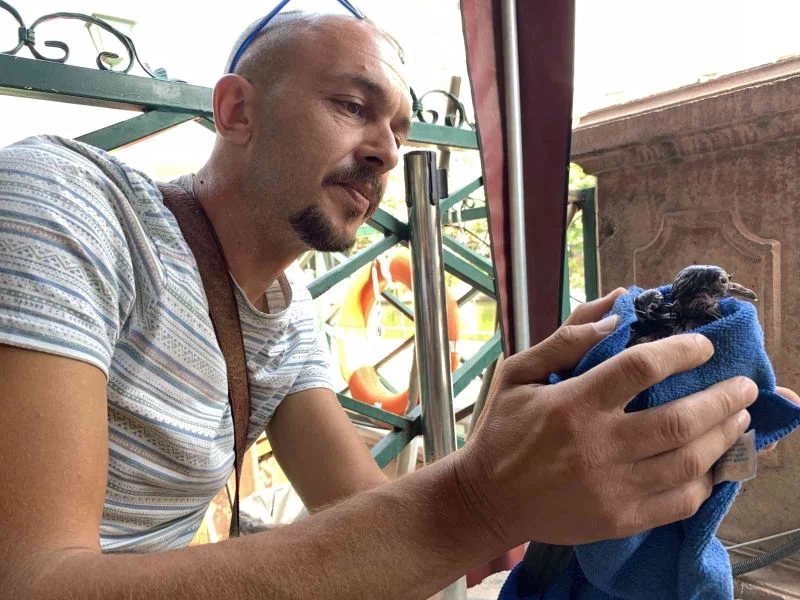  Gondol bu kez minik can için hareket etti
