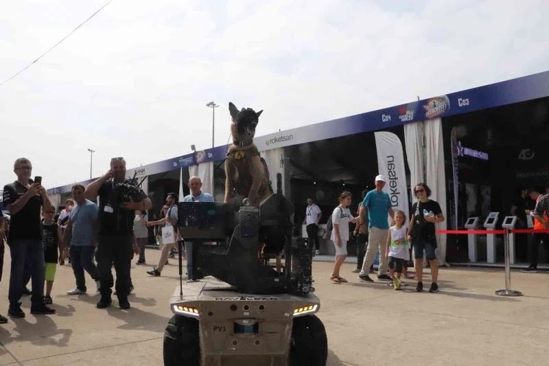 Robot asker ’BARKAN’
