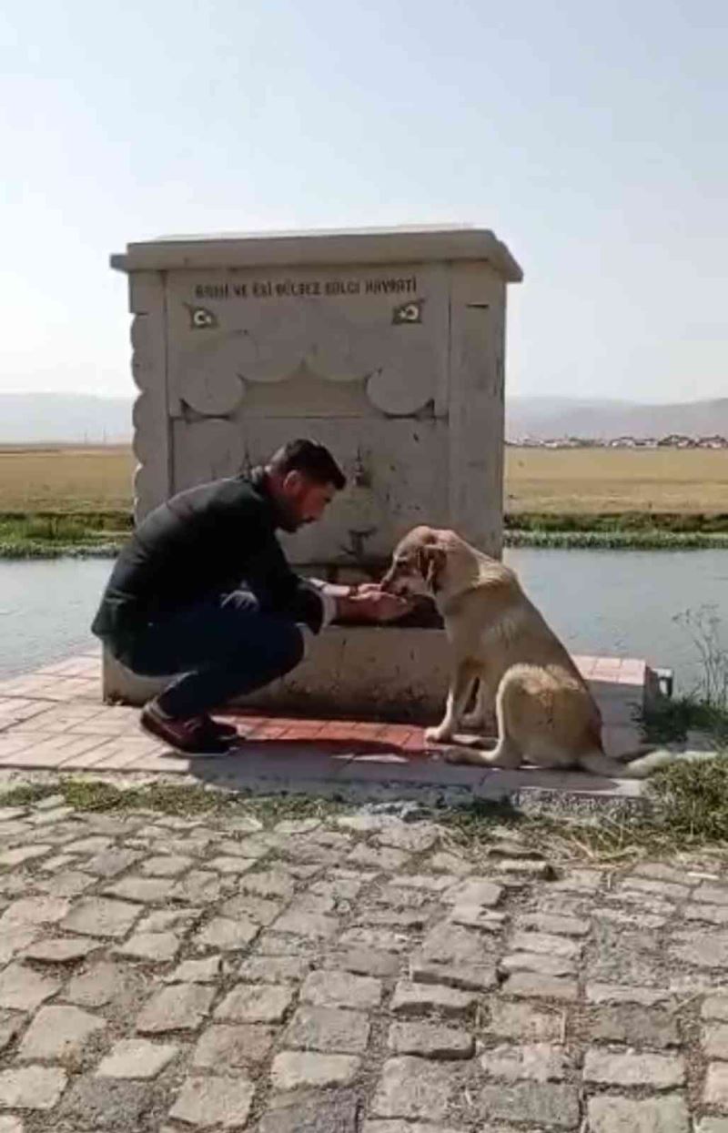 Sıcaktan bunalan köpeğe elleri ile su verdi
