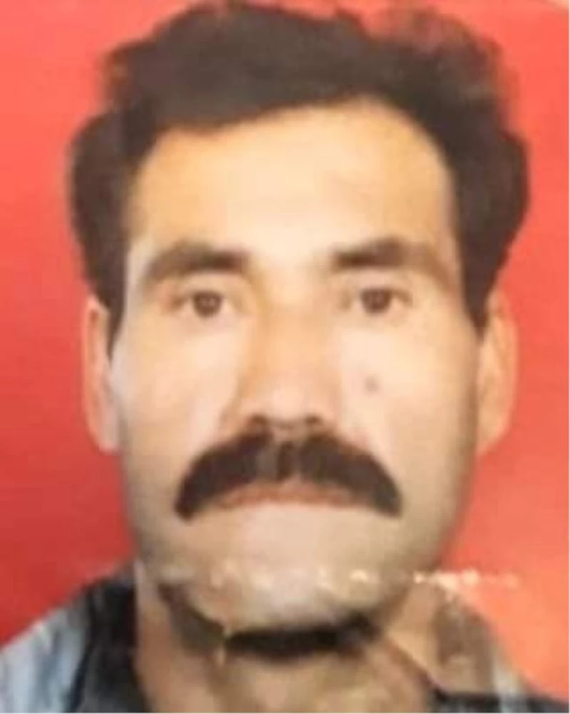 Otomobil eşeğe çarptı; 1 ölü, 1 yaralı
