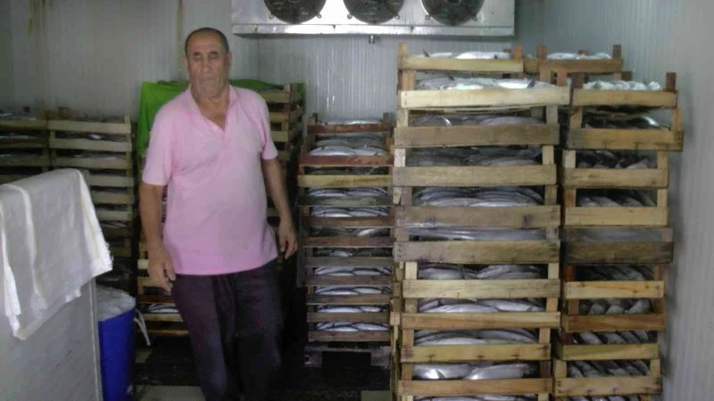 Akçakoca’dan 3 bin kasa palamut çıktı
