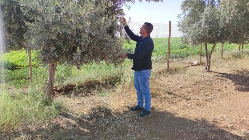Şırnak’ta çiftçiler kuraklığı baraj sularıyla aşmak istiyor
