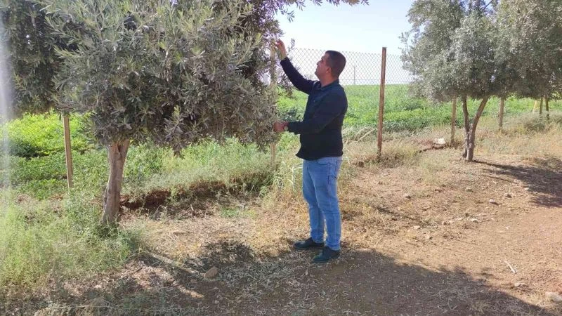 Şırnak’ta çiftçiler kuraklığı baraj sularıyla aşmak istiyor
