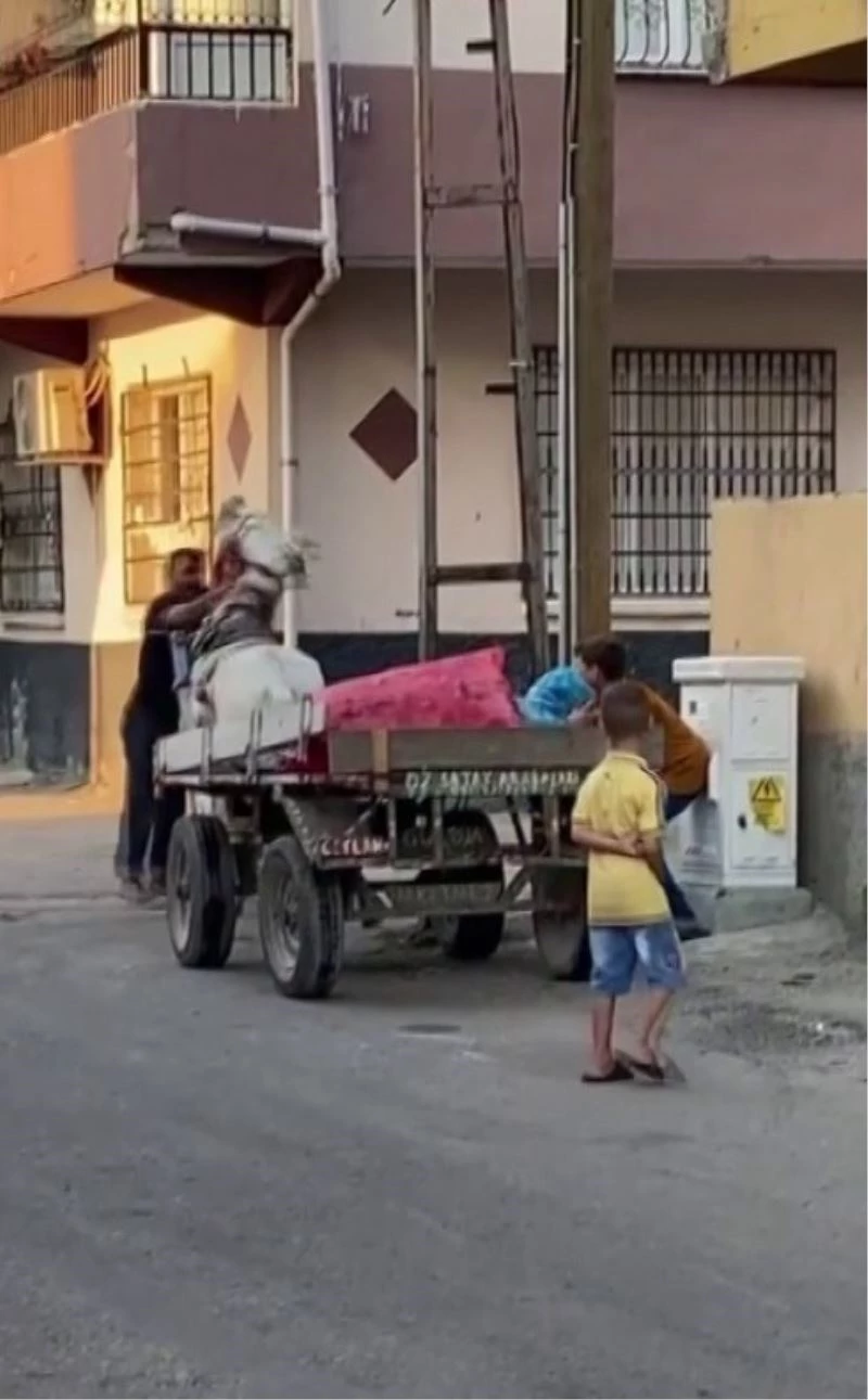 Yürümek istemeyen ata yumruk atarak eziyet etti
