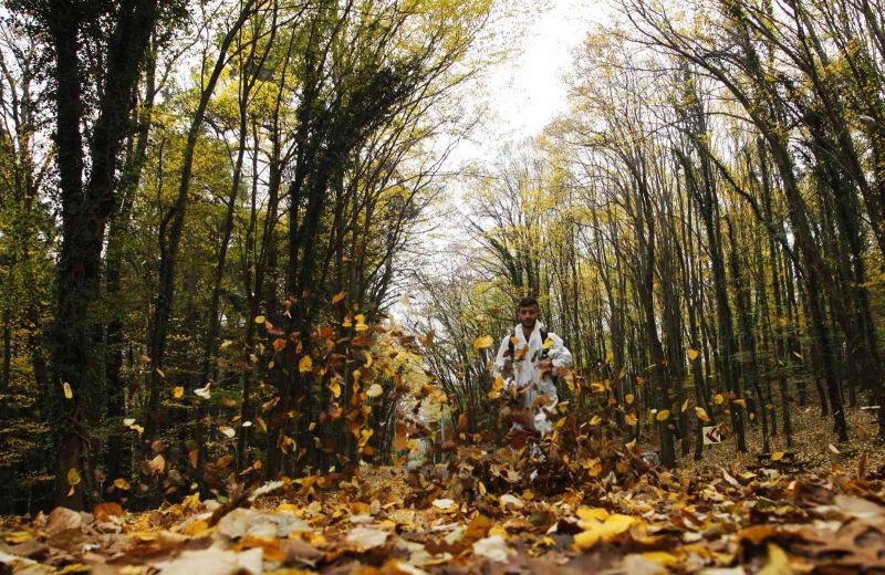 Sakarya Büyükşehir doğanın kalbine özgün mimarisiyle 10 yeni bungalov yapıyor
