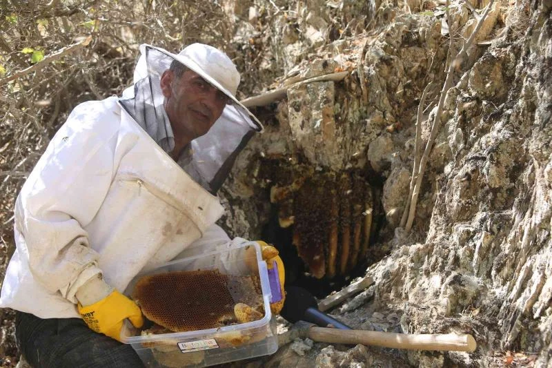 Cilo Dağı eteklerinden Norveç’e kilosu 2 bin 500 TL’den kaya balı
