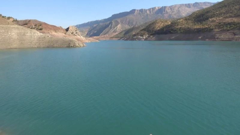 Siirt’te kaçak avcılara jandarmadan suçüstü
