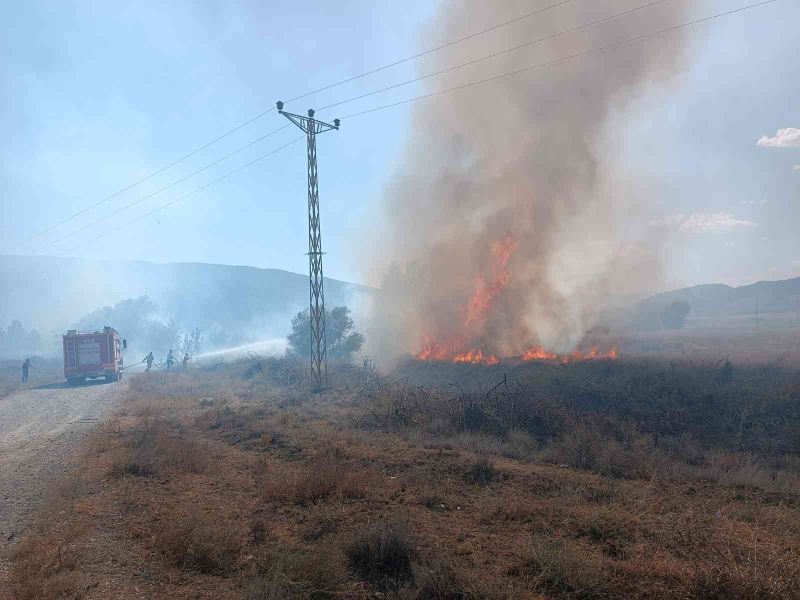 Tosya’da anız yangınında çeltik tarlaları zarar gördü
