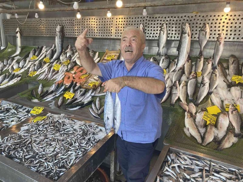 Sezon açıldı, tezgahlar balıkla dolmaya başladı
