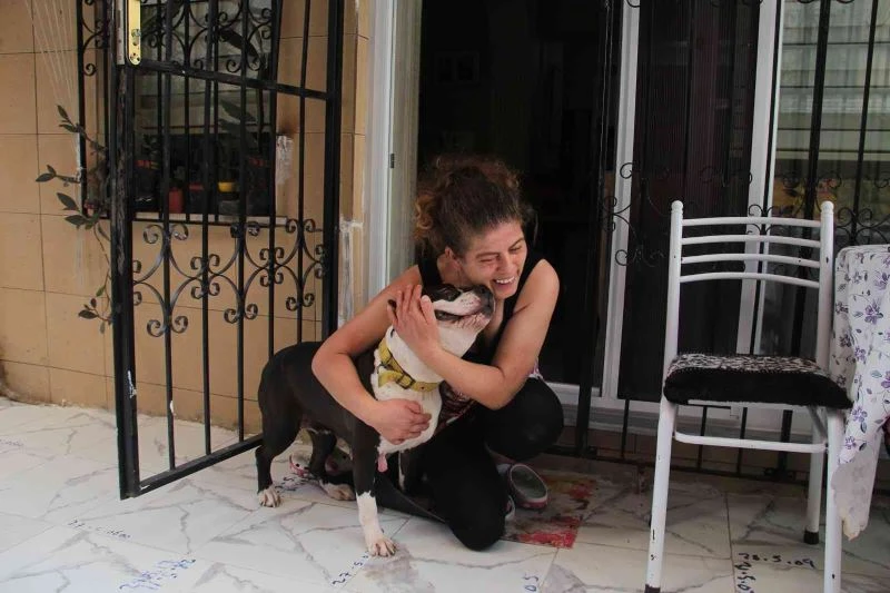 Uyutulmak istenen köpeğe kıyamadı, komşusuyla karakolluk oldu
