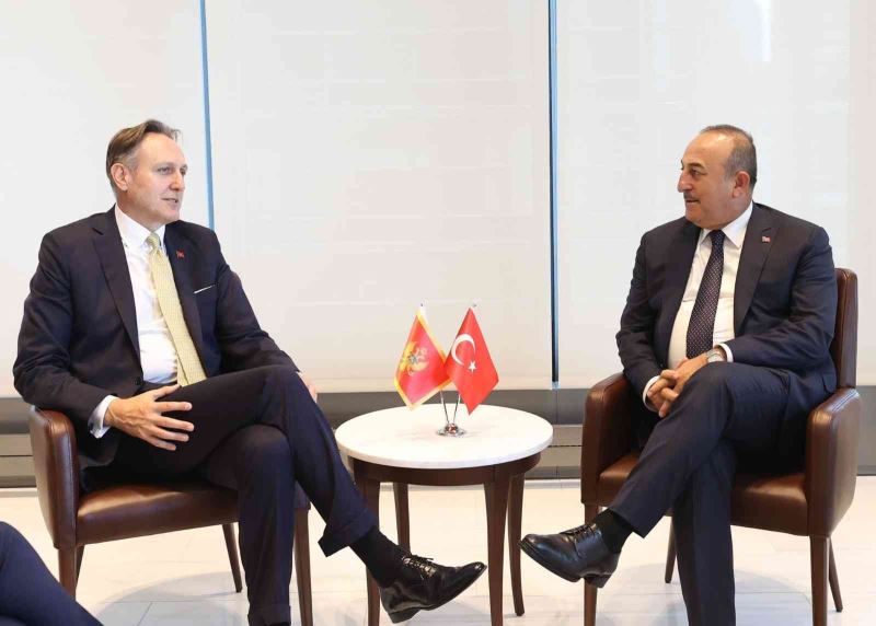 Dışişleri Bakanı Çavuşoğlu, Karadağlı mevkidaşı Krivokapic ile görüştü
