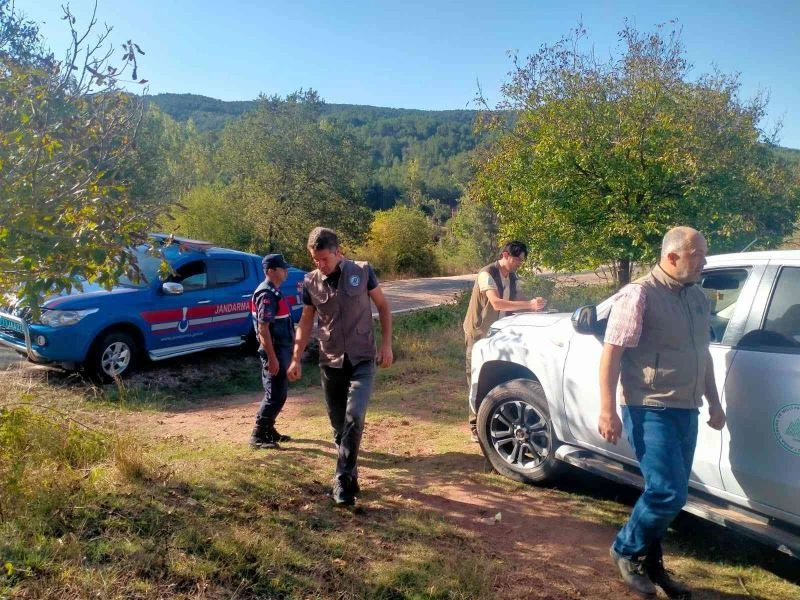 Bilecik’te kaçak doğa kuşu avına suçüstü
