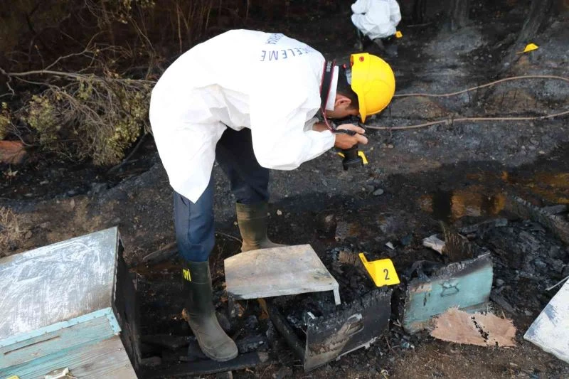 Jandarma ekiplerinin yangın bölgesinde incelemeleri sürüyor
