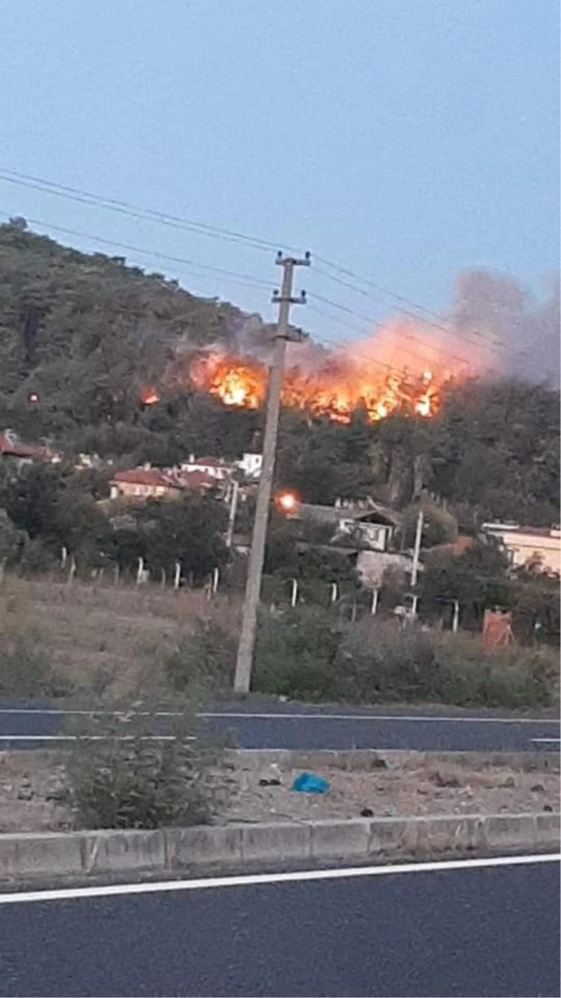 Ula’da orman yangını çıktı
