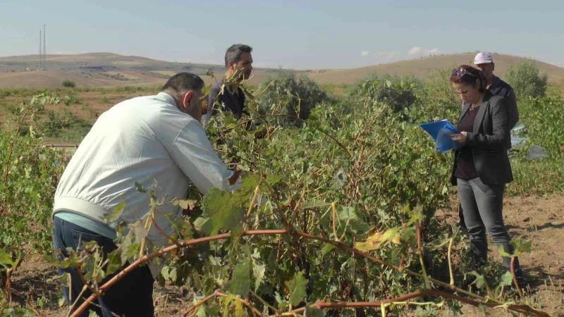 Selin hasarı gün ağarınca ortaya çıktı
