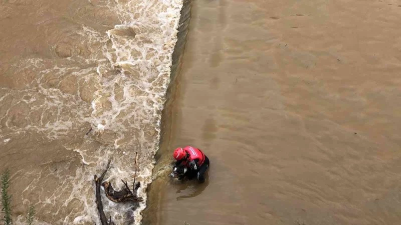 Rize’de dereden köpek kurtarma operasyonu
