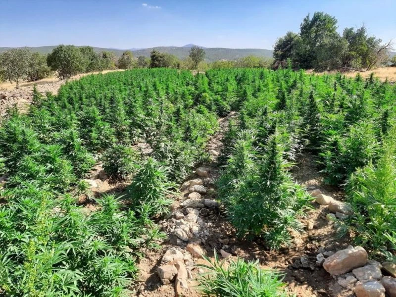 Eren Abluka’da 62 ayrı noktaya operasyon: Yüklü miktarda uyuşturucu ele geçirildi
