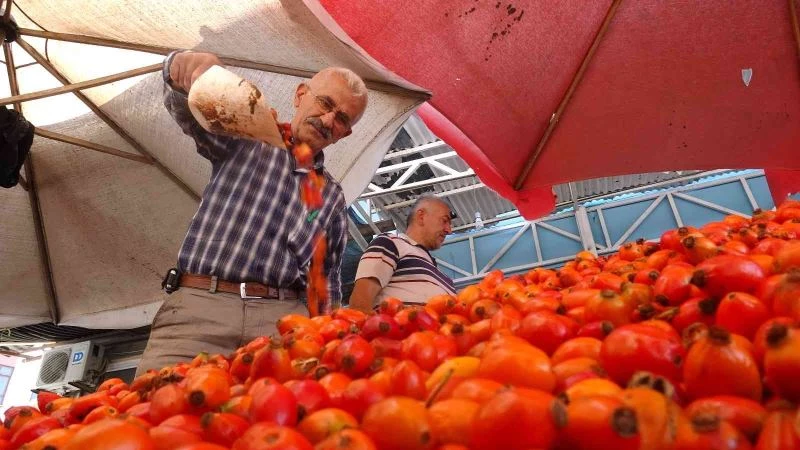 Dalından sofraya kuşburnunun lezzet yolculuğu
