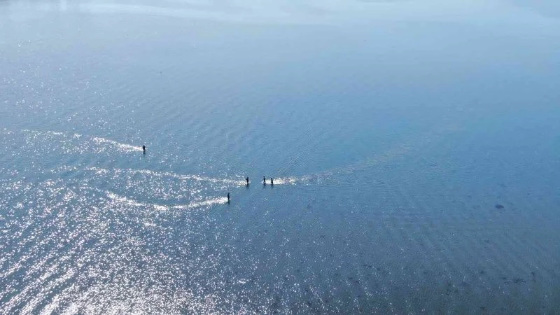 Polisler denizin üstünde yürüdü, kaçak avcıları tek tek yakaladı
