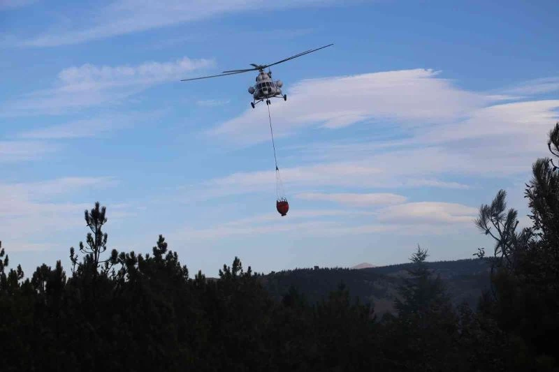 Orman yangınında ilk belirlemelere göre 3 dönümlük alan zarar gördü

