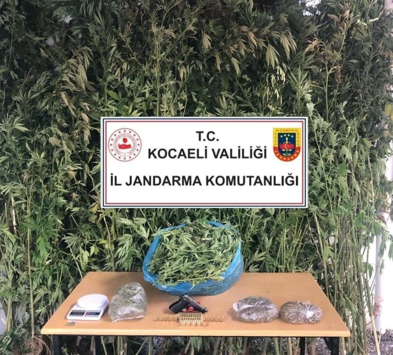 Kocaeli’de 4 kilo 825 gram esrar ele geçirildi
