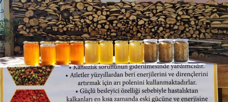 Arıcıların beyaz bal şaşkınlığı
