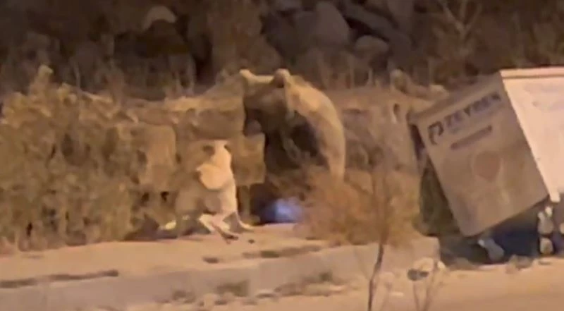 Sarıkamış’ta sıradan bir gün
