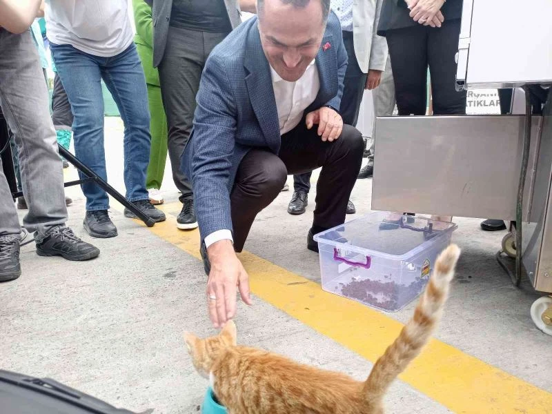 Beyoğlu’nda bir ilk: Gıda ve yemek artıkları hayvan mamasına dönüştürülecek
