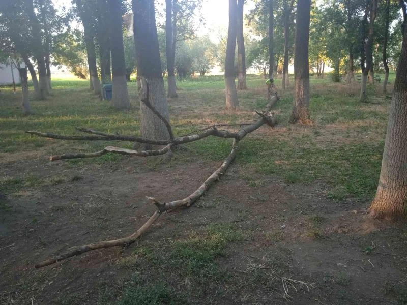  Mangal keyfi az kalsın faciaya dönüyordu
