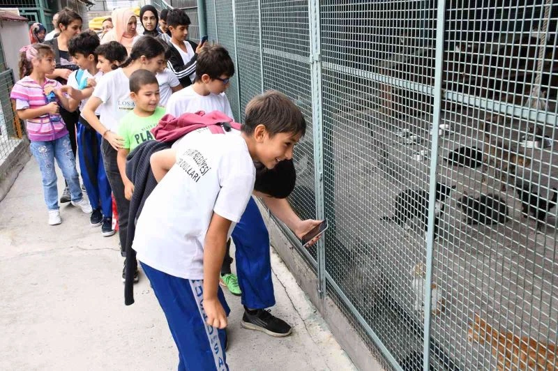 Sporcu çocuklar hayvanlarla buluştu
