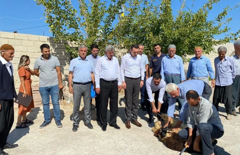 Samsat Kaymakamı kurban kesilerek karşılandı
