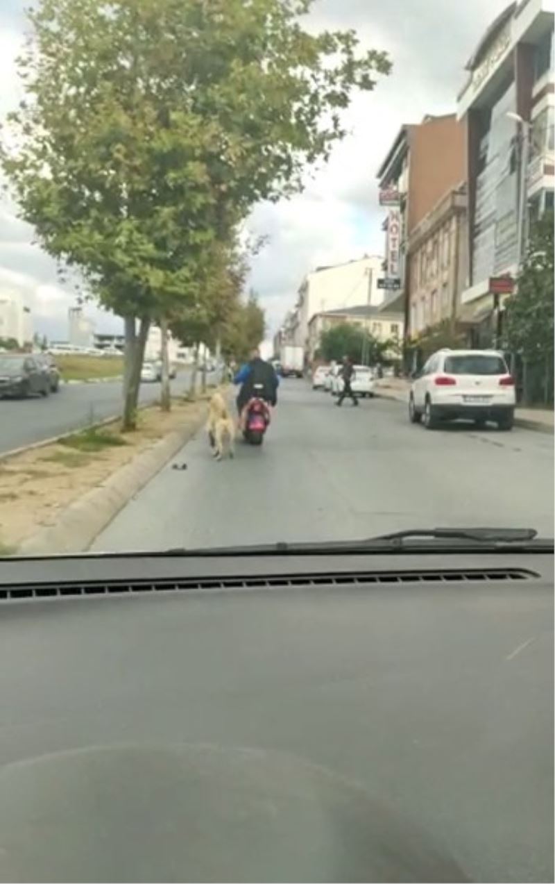Arnavutköy’de köpeği motosikletine bağlayarak götüren şahsa tepki
