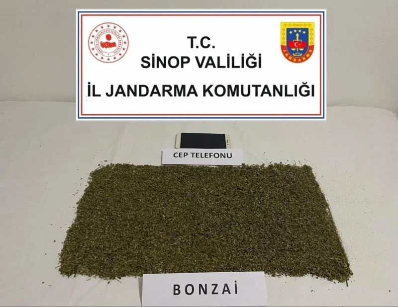 Boyabat’ta bonzai operasyonunda 1 kişi yakalandı
