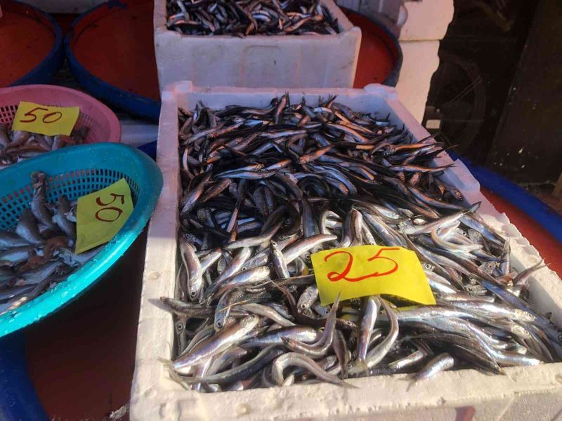 Rizeliler Doğu Karadeniz’den çıkmayan balığın lezzetini beğenmiyor
