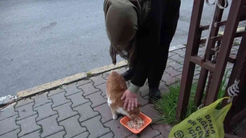 Sancaktepe’de fakir aylığı ile geçiniyor, mahallenin kedilerini de unutmuyor
