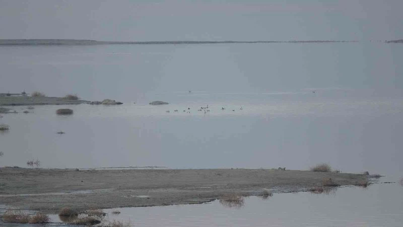 Göller bölgesinde kuşların izini sürüyorlar
