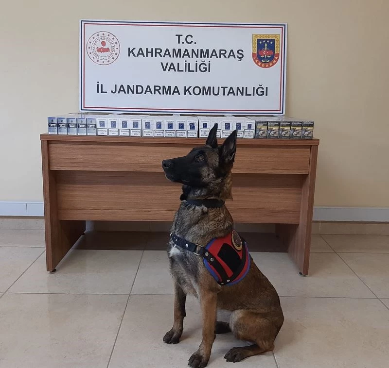 Kahramanmaraş’ta kaçakçılıkla mücadele