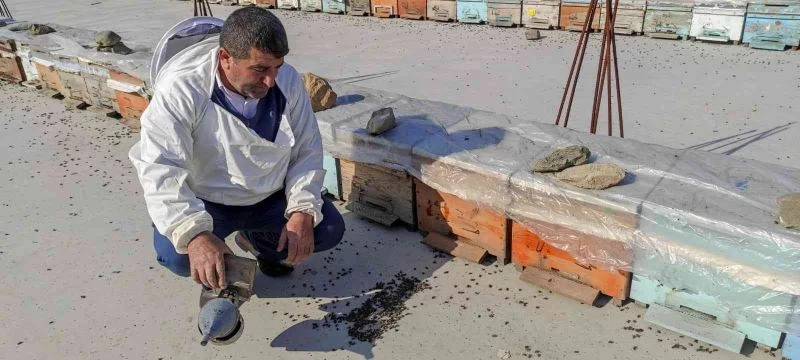 Batman’da yaşanan kuraklık milyonlarca arının telef olmasına neden oldu
